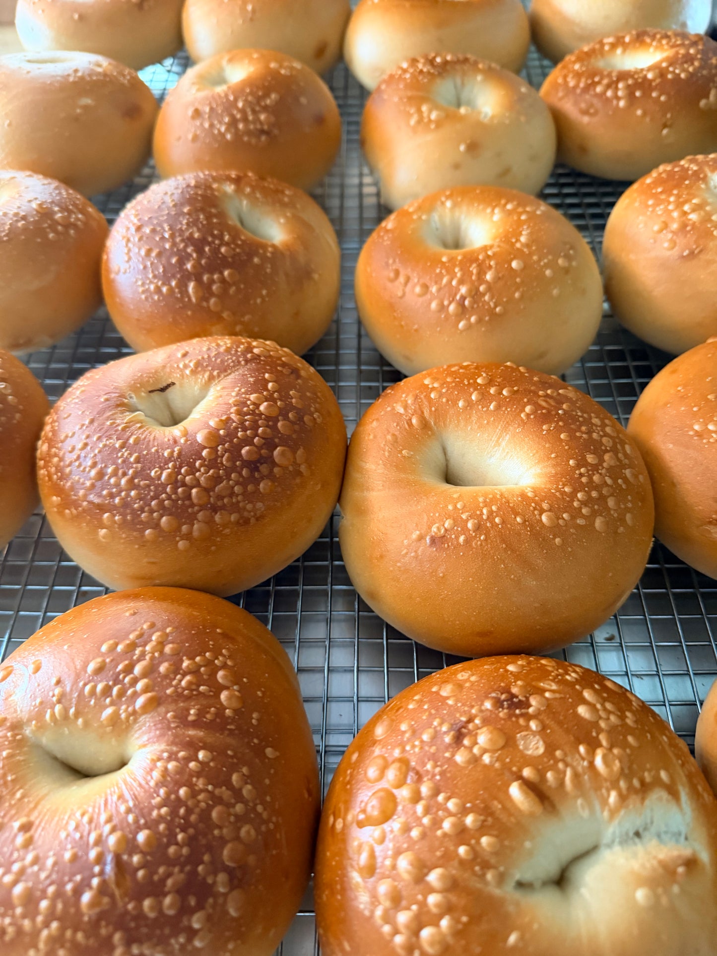 Plain Bagels (4 pack)