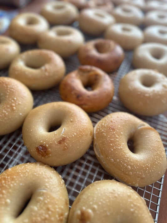 Plain Bagels (4 pack)