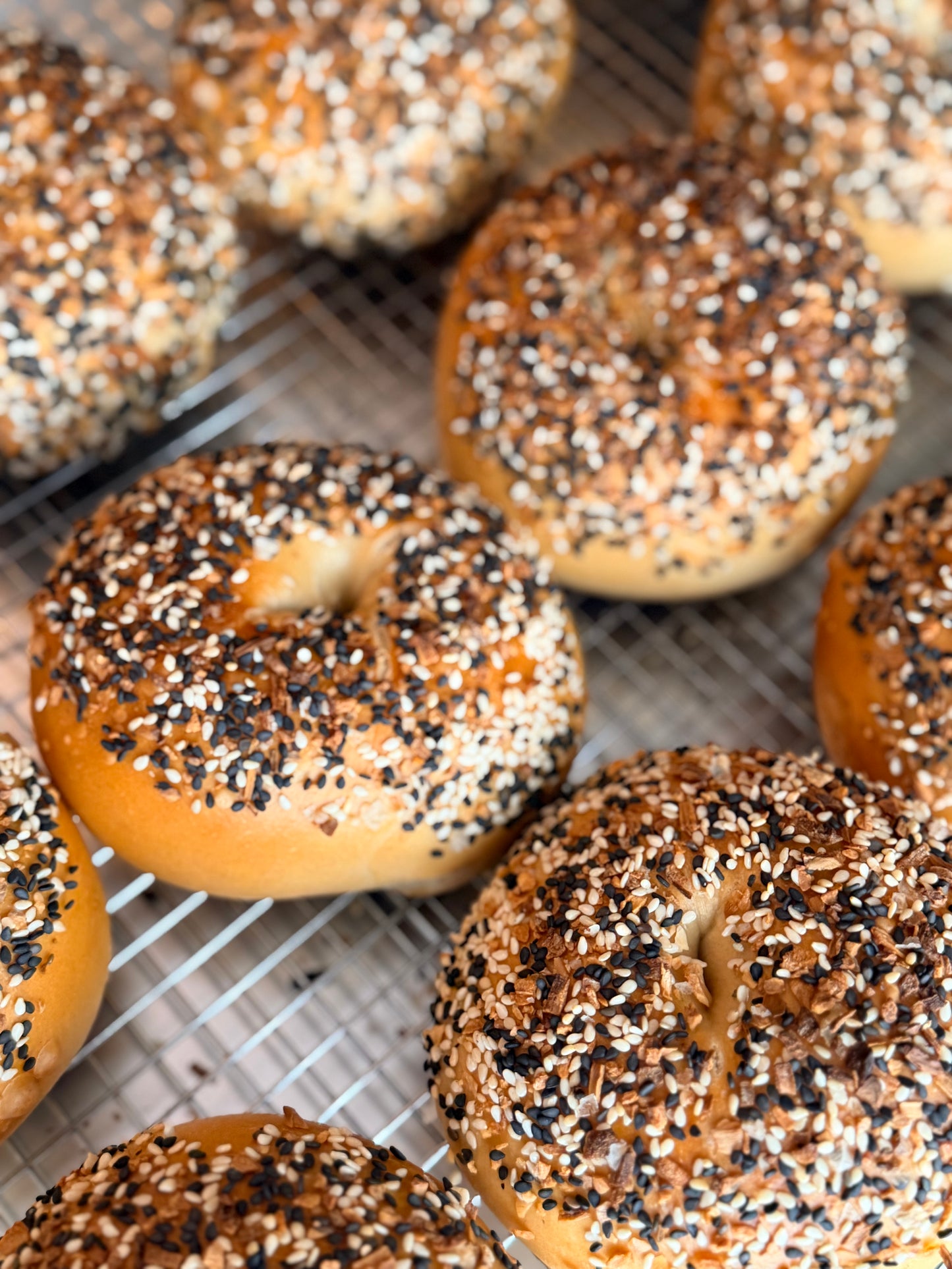 Everything Bagels (4 pack)