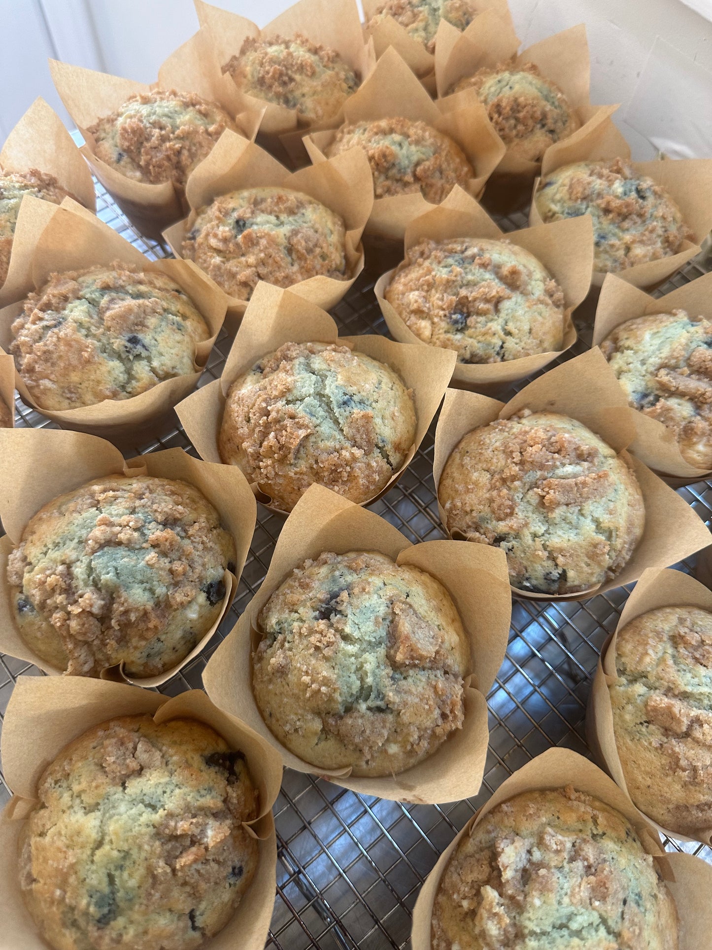 Blueberry Muffins