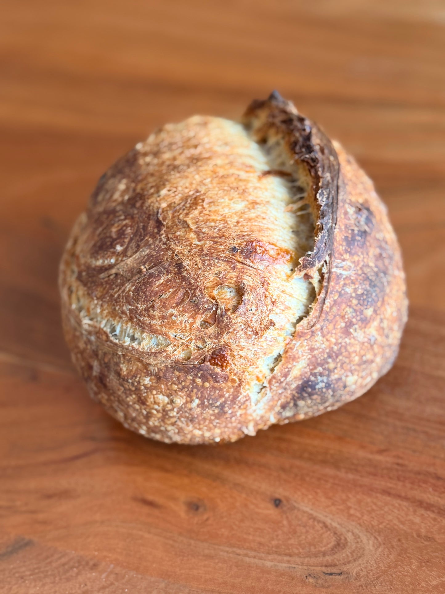 MINI: Parmesan & Black Pepper