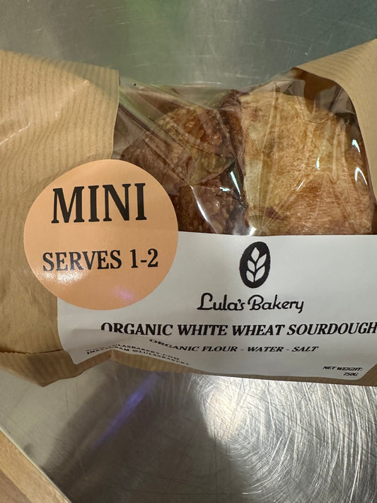 MINI: White Wheat