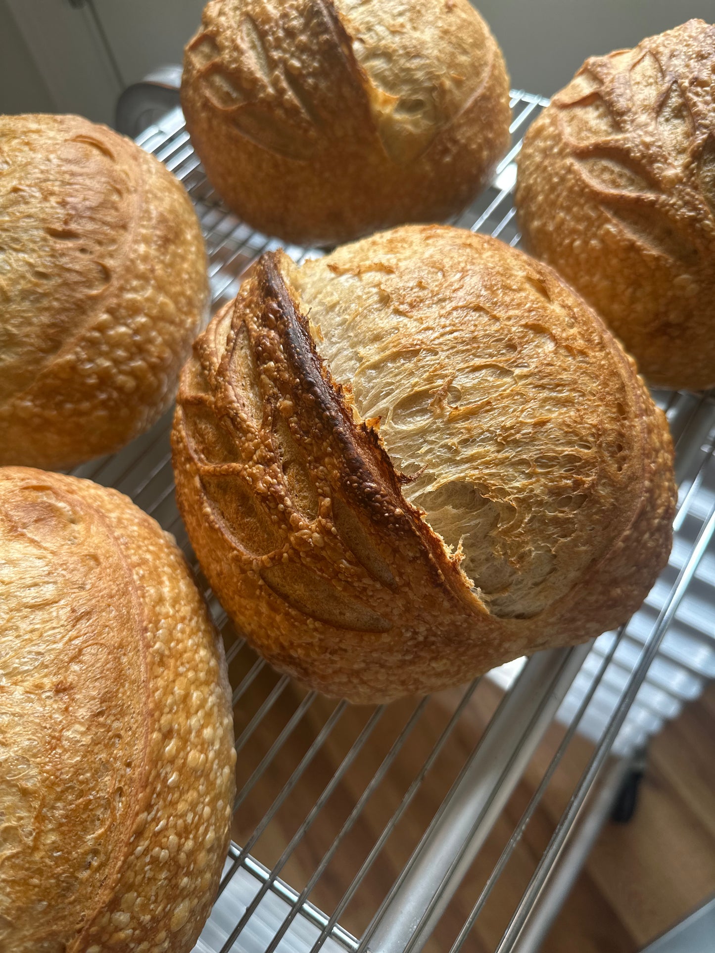 White Wheat Sourdough